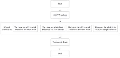 Altered Patterns of Functional Connectivity and Causal Connectivity in Salience Subnetwork of Subjective Cognitive Decline and Amnestic Mild Cognitive Impairment